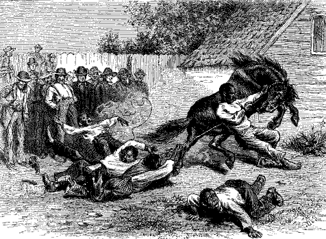 catching a pony, 1877
