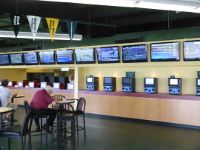 betting on simulcast harness races