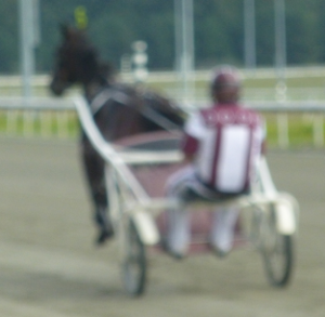 harness racing at Colonial Downs was unaffected by the 2014 license dispute, but after the 2014 races it too became just a memory