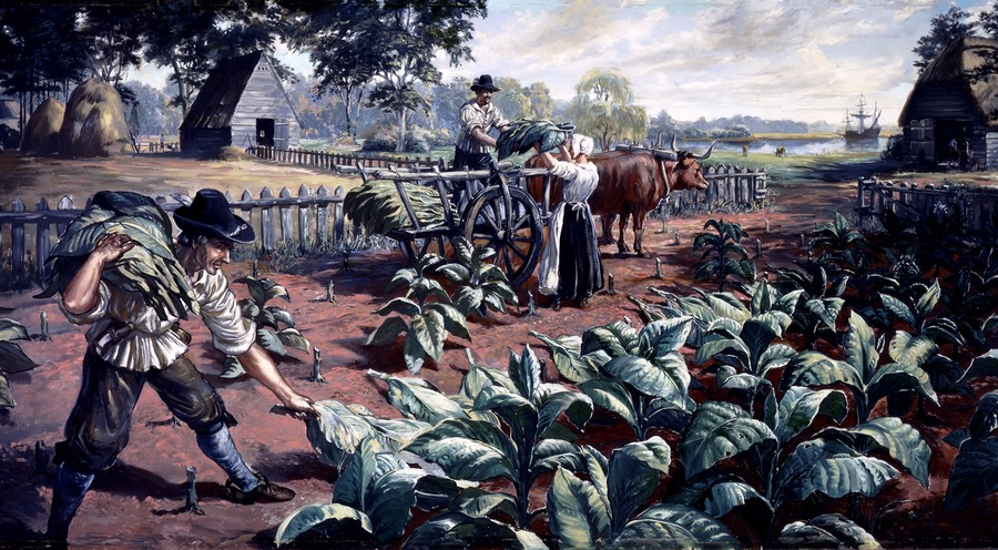 in the 1600's, both husbands and wives in families of recently-freed indentured servants grew tobacco without any enslaved workers