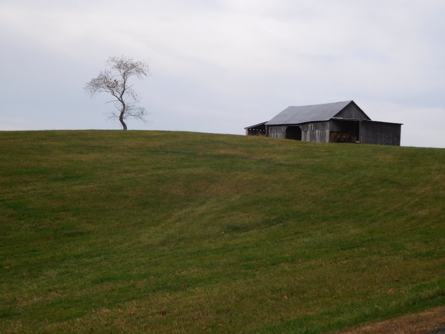 northern Fauquier County is filled with high-value estates with pastures for horses