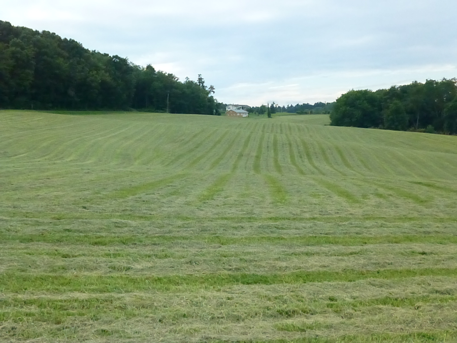 solar energy dries hay before it is baled
