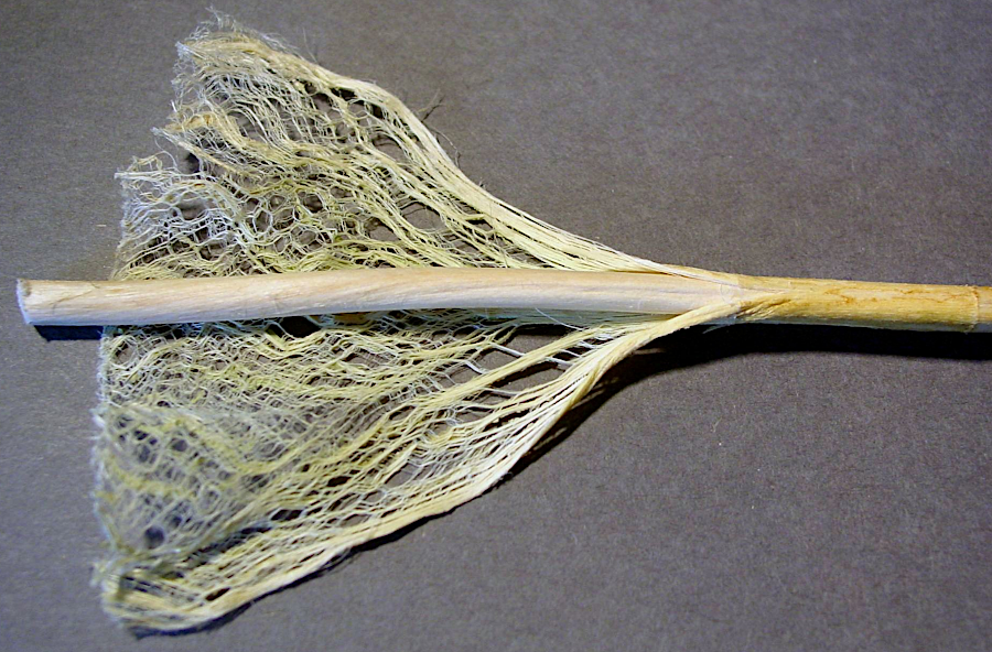 hemp fibers are preferred for production of rope, because they are stronger than cotton and more resistant to mildew