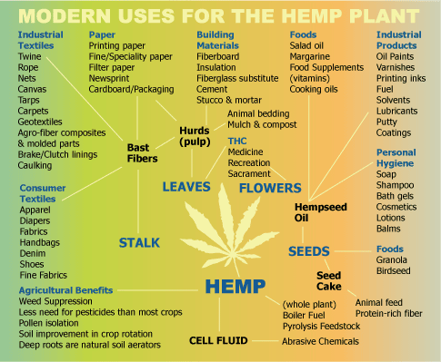 industrial hemp is valued for both its fiber and its oil