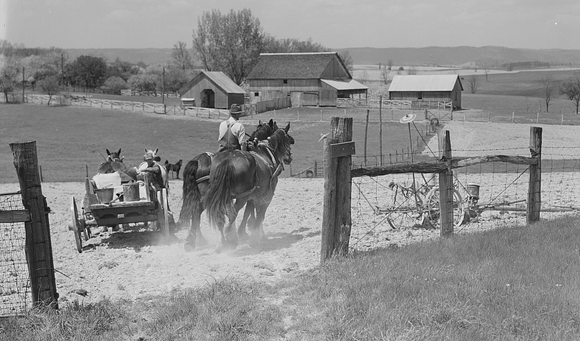before World War II, horses were more common than tractors on Virginia farms