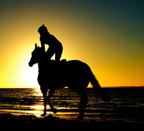 humans in western Asia began to ride horses over 4,000 years ago, before agriculture was widely adopted by Native Americans in Virginia