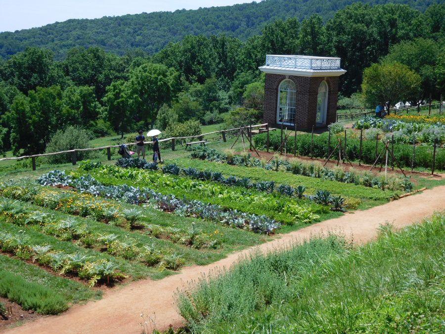 garden at Monticello