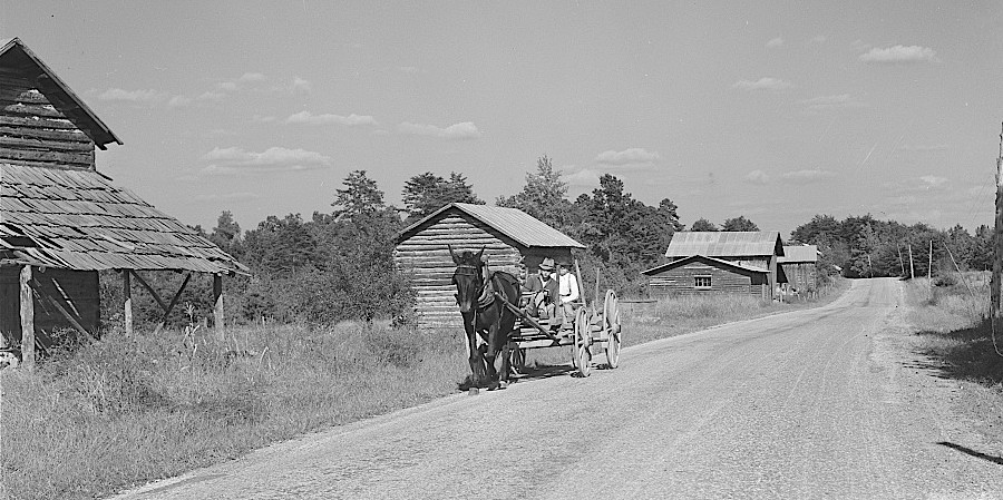 tobacco barns in 1939