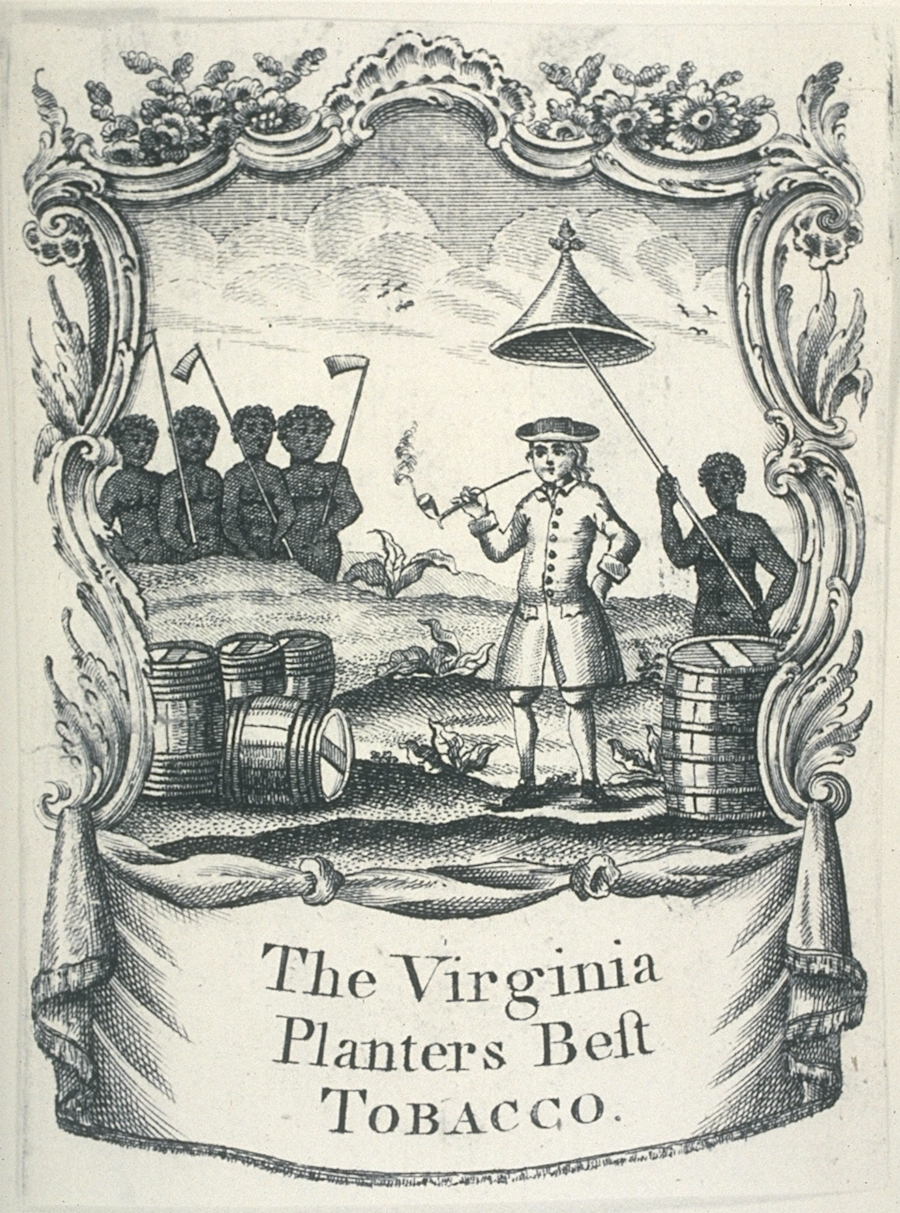 tobacco farming was the economic driver for establishing slavery in Virginia