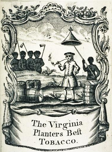 the economic reason for slavery in Virginia was a desire for low-cost labor to grow tobacco
