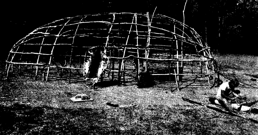 a modern reconstruction of the earliest house known in Virginia started with building a framework from small saplings cut with stone axes