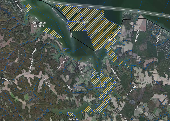 most of the bottom of Nomini Creek is covered by private oyster leases