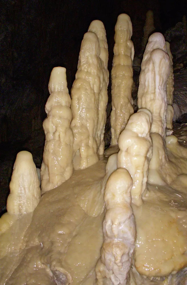 stalagmites grow upward from the bottom of a cave floor, when droplets evaporate there and leave a residue of calcite/aragonite