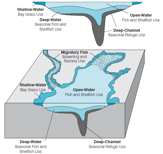 Chesapeake Bay tidal water habitats with different water quality criteria for different purposes