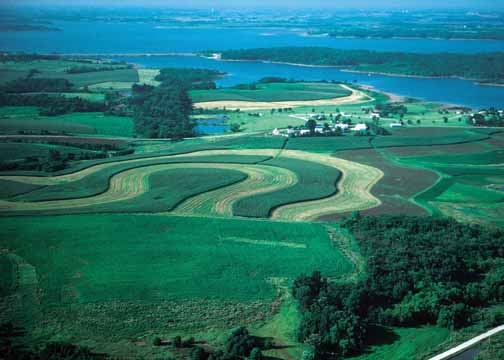 agricultural Best Management Practice (BMP) to reduce runoff from farm fields