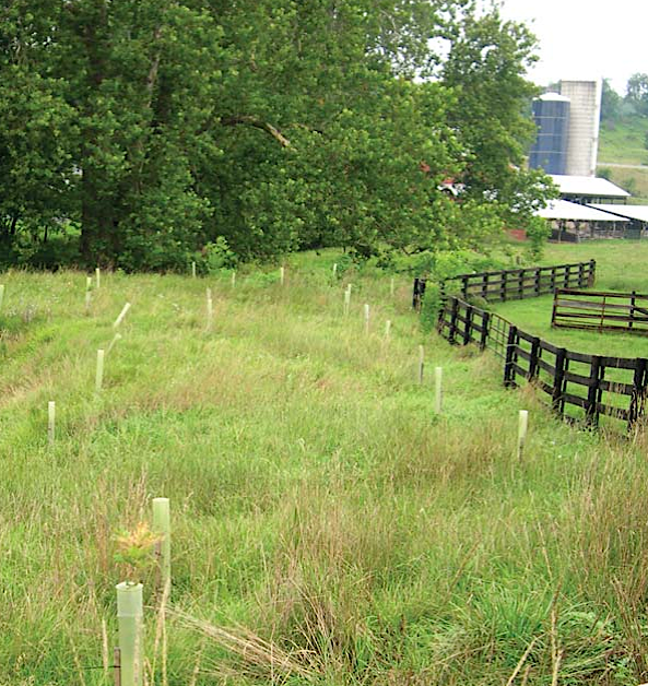 in 2023, the General Assembly extended the deadline for voluntary streamside fencing from 2026 to 2028