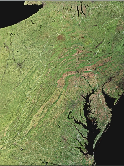no streams in New Jersey flow into the Chesapeake Bay