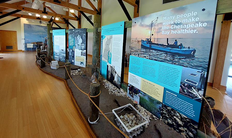 a Belle Isle State Park visitor center exhibit highlights the challenge of saving the bay
