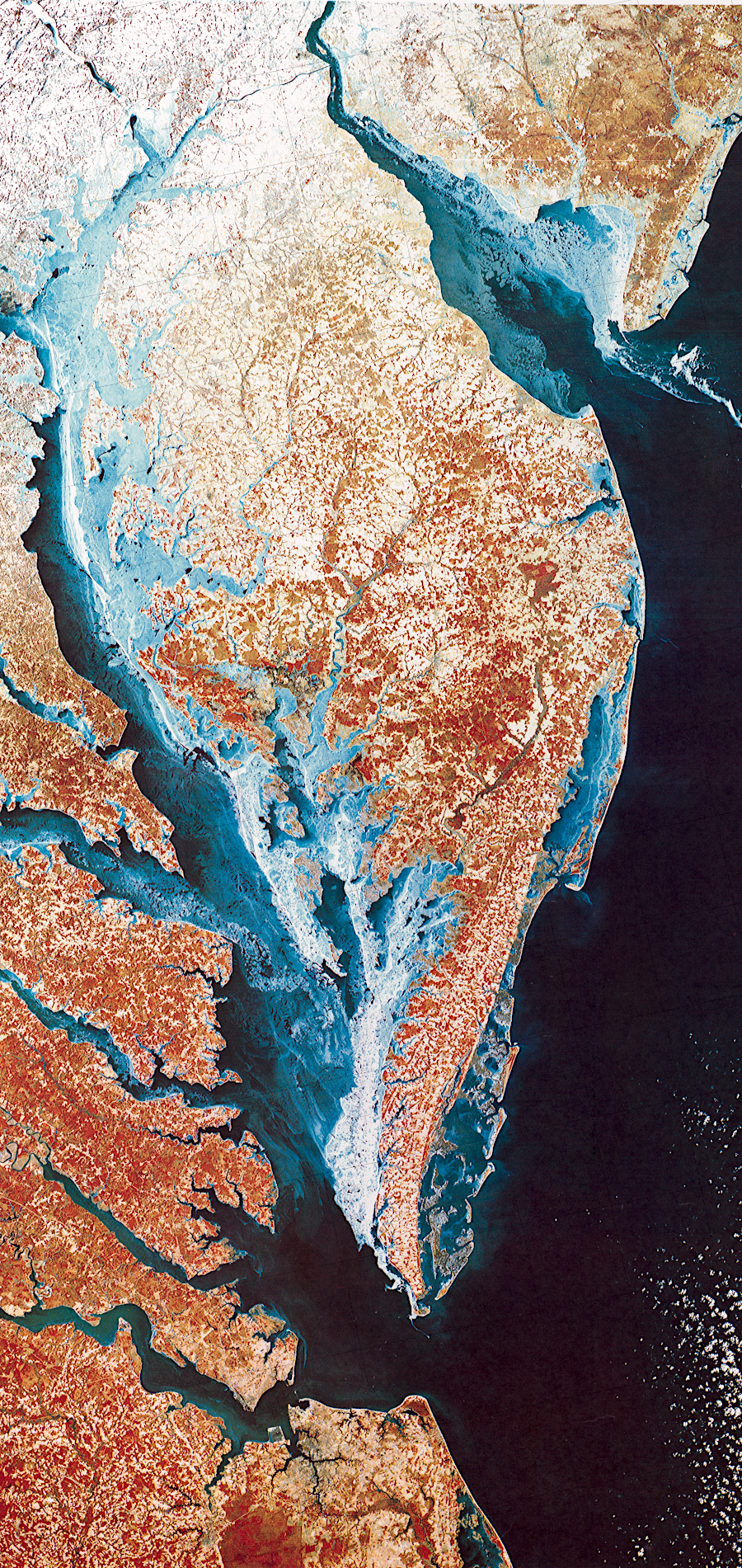 LANDSAT image of Chesapeake Bay and Delaware Bay