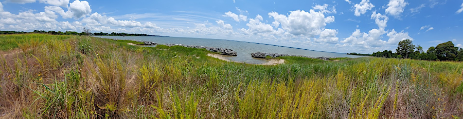 Virginia Department of Transportation (VDOT) funded a living shoreline project at Belle Isle State Park