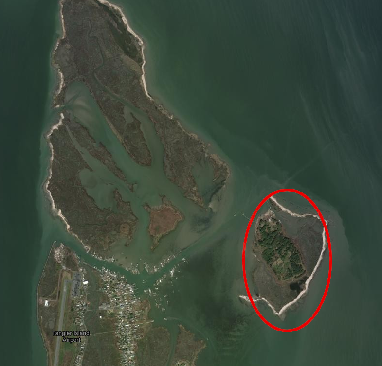 the patch of trees on Port Isobel, east of Mailboat Harbor, are located on fill that raised the land surface
