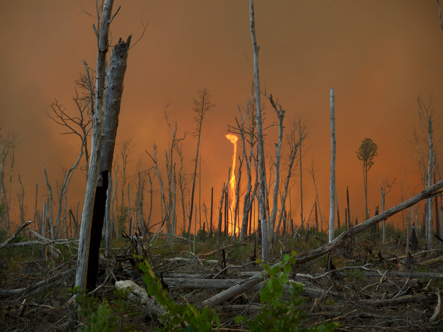 lightning strikes triggered the Lateral West Fire at Great Dismal Swamp National Wildlife Refuge, which burned hot enough to create at least one fire tornado