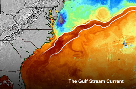 Atlantic Ocean and warm Gulf Stream keeps wintertime temperatures warmer in southeastern Virginia