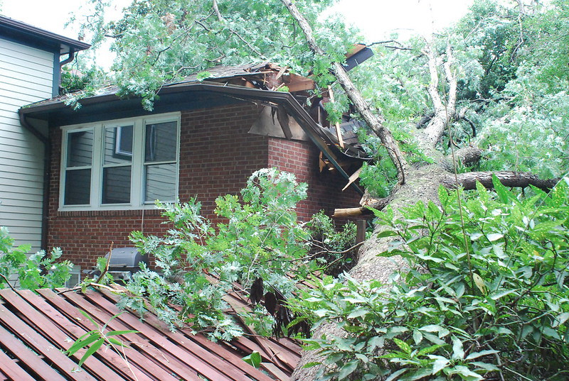 remnants of Hurricane Irene toppled large trees in Arlington County in 2011