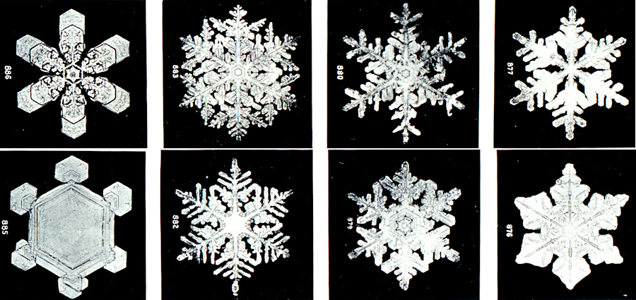 unique paths through temperature and humidity conditions result in unique shapes of snowflake crystals