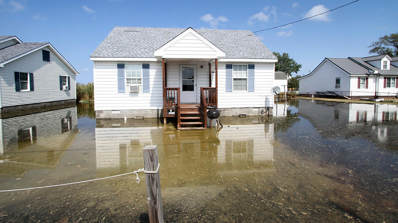 Tangier Island yards once flooded only by hurricanees now are covered regularly by some high tides