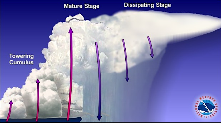 a single cell or pulse thunderstorm consists of a one-time updraft and one-time downdraft