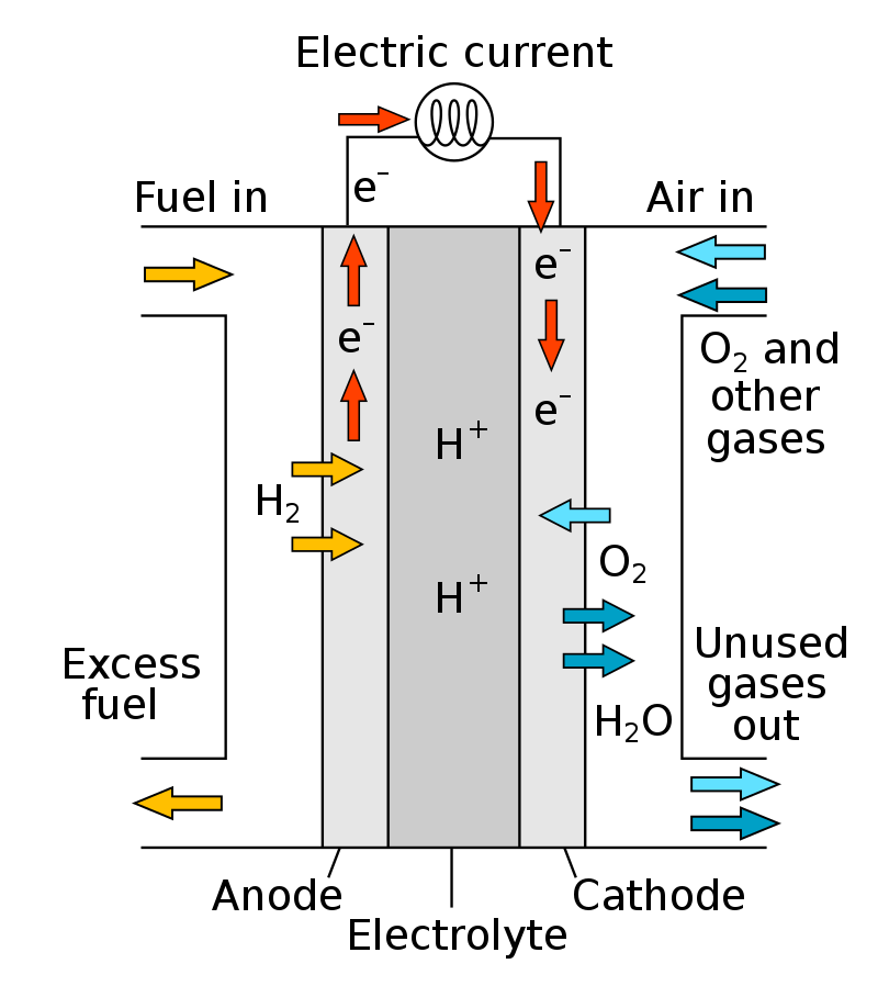 fuel cells convert H2 and O2 into H20 and electricity