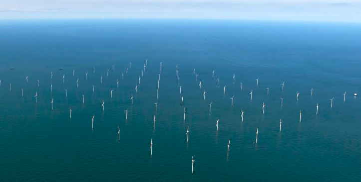 image of possible wind farm off Virginia's shoreline
