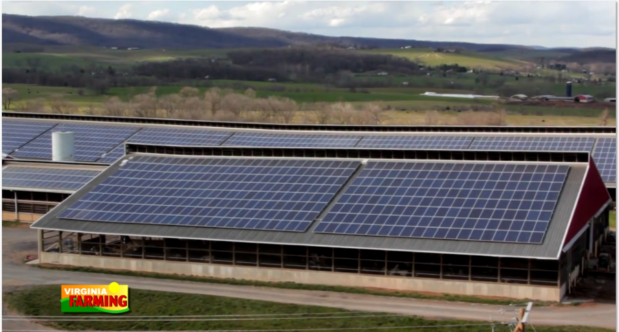 Windcrest Holsteins dairy farm in Timberville has installed 1,800 solar panels to create a 560kw system that meets 100% of its electricity needs, and electricity bills are offset through the Agricultural Net Metering program