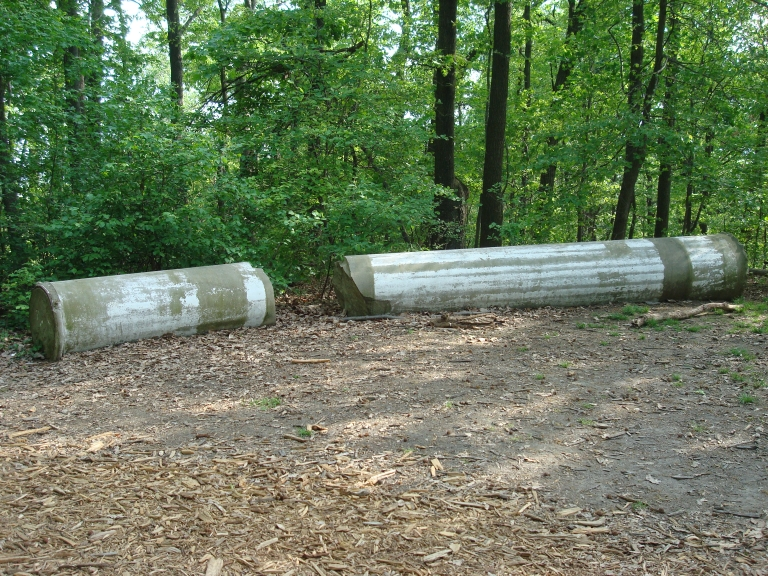 two of the 24 original (1828) columns of the Capitol were damaged, and not placed in a vertical position at the US National Arboretum