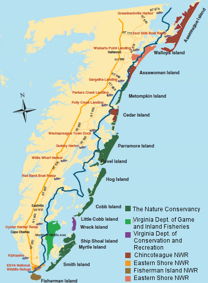four National Wildlife Refuges (NWR's) managed by the US Fish and Wildlife Service protect a small percentage of barrier islands on the Eastern Shore - most islands are owned by a non-government organization and two state agencies)