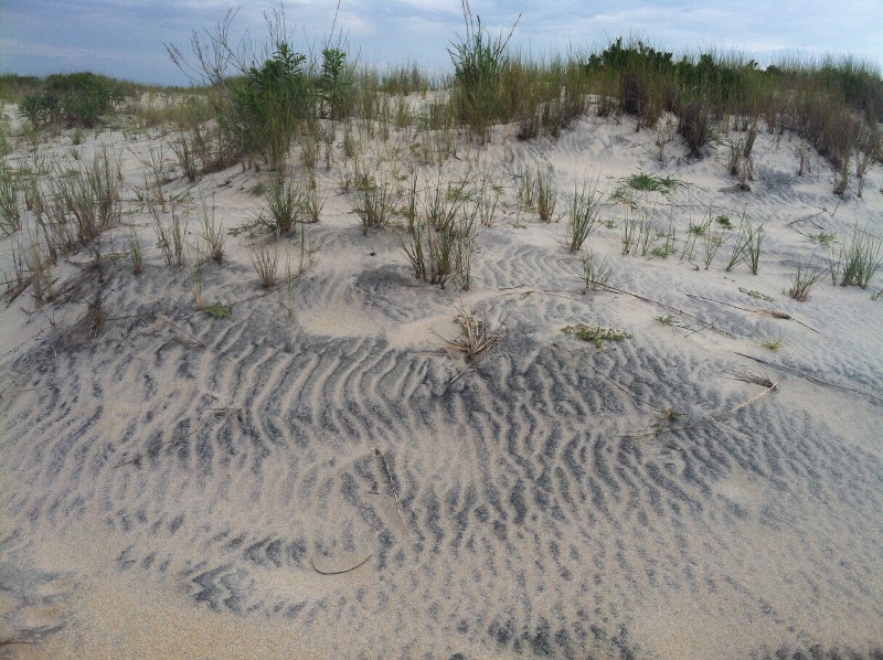 Rutile Beach Sand