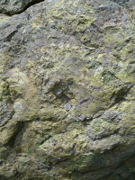 Catoctin basalt - metamorphosed to greenstone