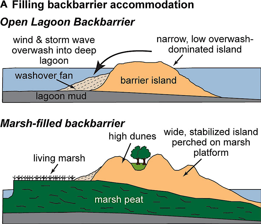 Cedar Island might be stabilized by capturing washover sdiments in a backbarrier marsh