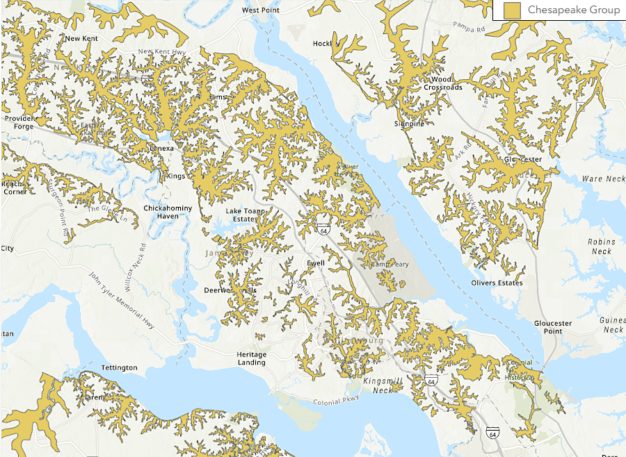 sinkholes form in the Coastal Plain where calcium-rich bedrock in Chesapeake Group sedimentary formations has dissolved