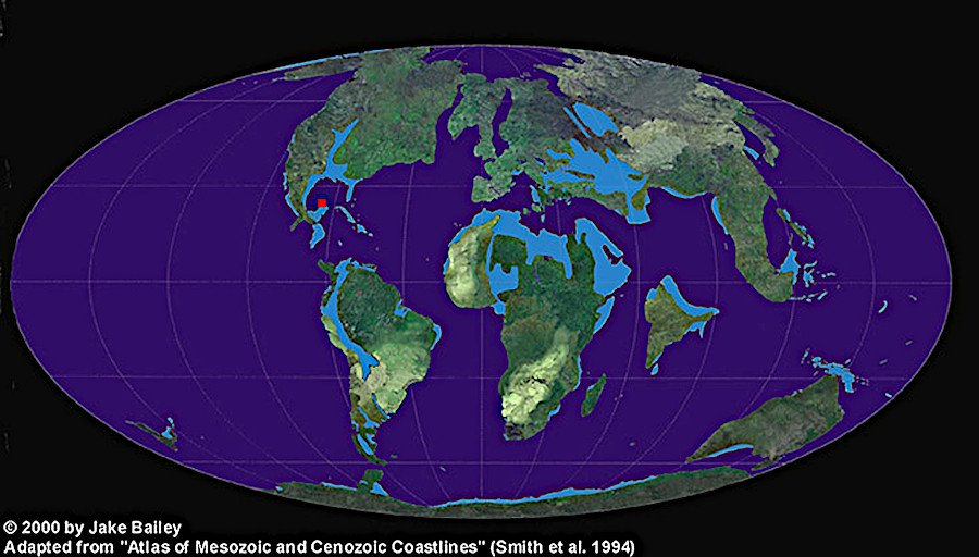 the impact event that killed off the dinosaurs occurred about 1,200 miles from Virginia (red square), but the location of shorelines and tectonic plates was different 66 million years ago
