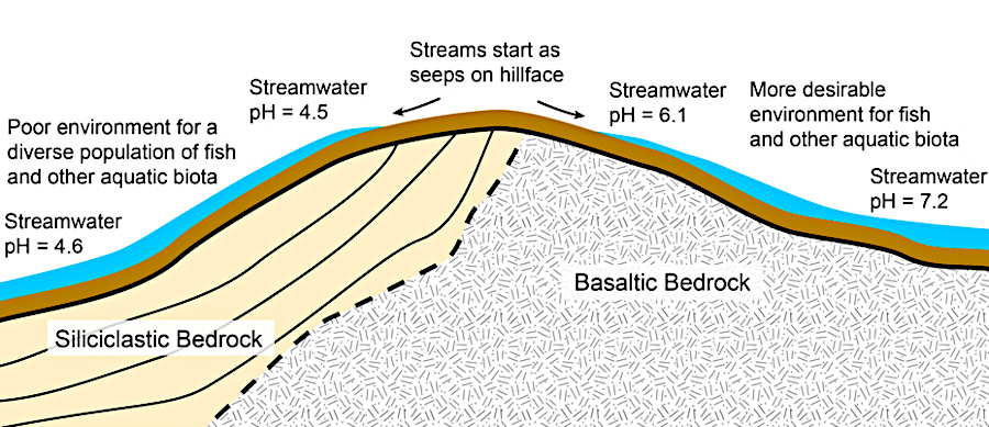 the Chilhowee Group creates more-acidic runoff on the western side of the Blue Ridge