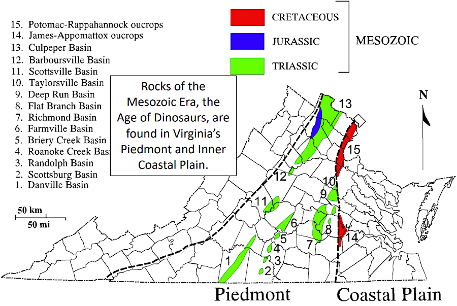 evidence of dinosaurs is found in Triassic, Jurassic, and Cretaceous sediments