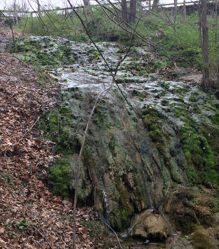 calcium is deposited on rocks in the streambed on the walk down to Natural Bridge, creating an above-ground equivalent of cave formations