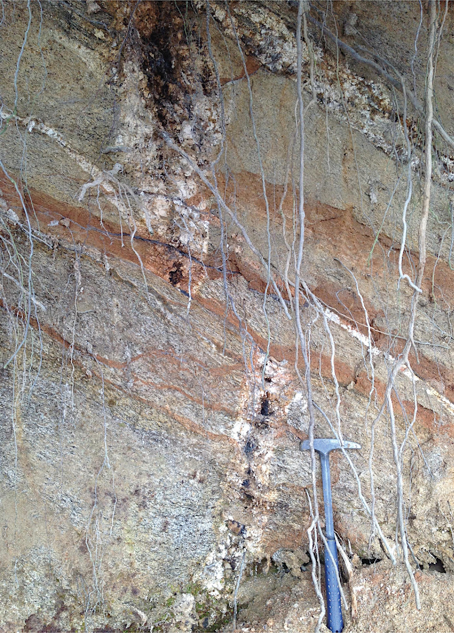 pegmatite dike offset by about three feet due to movement along a fault near the North Anna Power Station