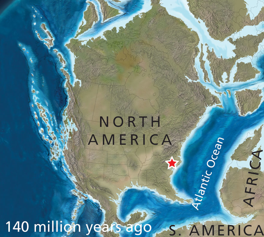 as tectonic plates moved over the last 230 million years, what is now Virginia went from the middle of Pangea to the middle of the North American Plate