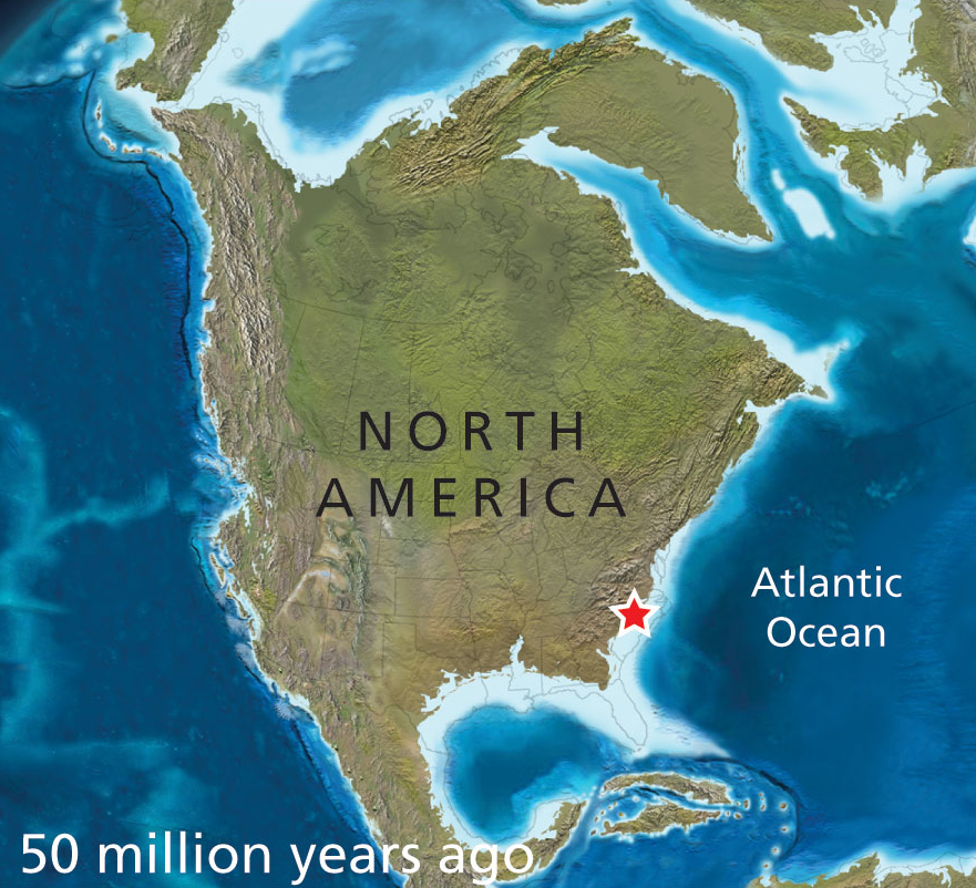 as tectonic plates moved over the last 230 million years, what is now Virginia went from the middle of Pangea to the middle of the North American Plate