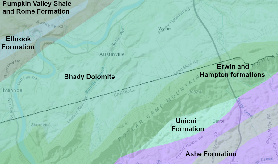 lead ore at Austinville is found within the Shady Dolomite