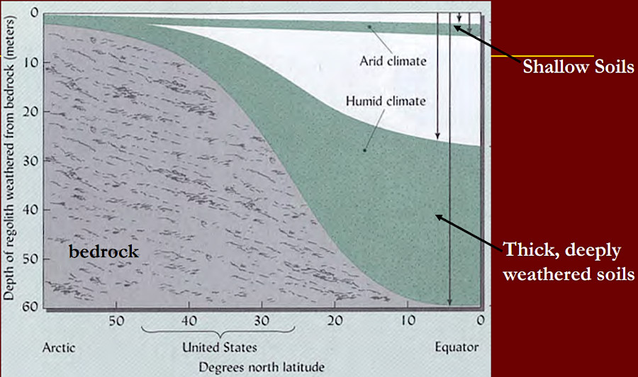 deeper soils develop in humid environments, where more water can interact with bedrock and support organic life