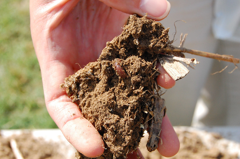 healthy farm soil has a high percentage of carbon and a structure that allows for water to flow around roots